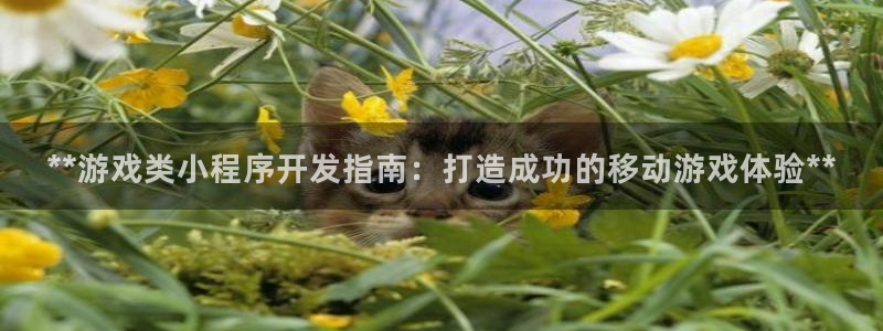 沐鸣娱乐2上来77542