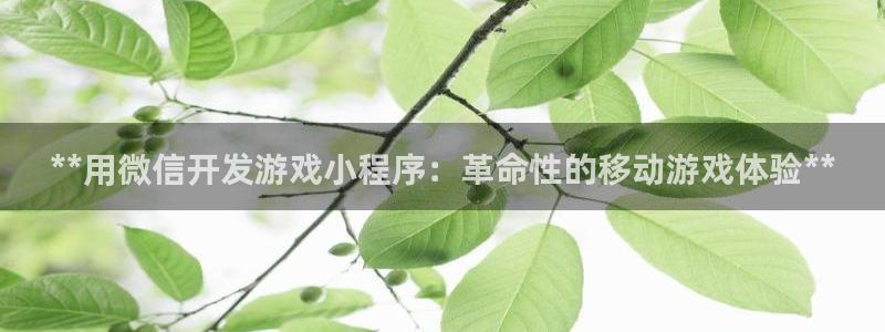 沐鸣娱乐2黑客户吗