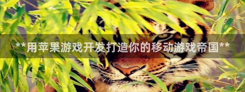 沐鸣娱乐2官网网址是什么