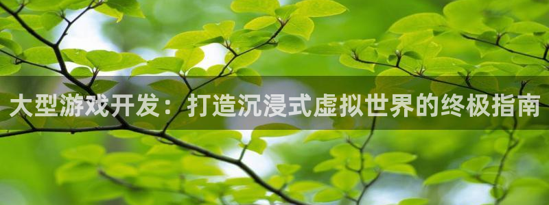 沐鸣娱乐2代理