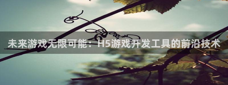沐鸣娱乐2输钱了：未来游戏无限可能：H5游戏开发工具的前沿技术