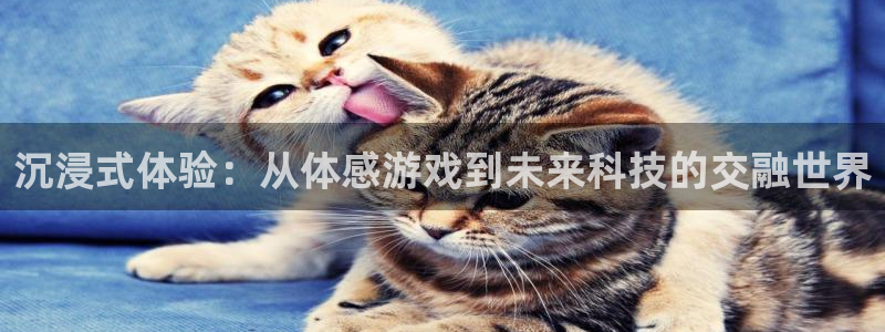 沐鸣2产7O777：沉浸式体验：从体感游戏到未来科技的交融世界