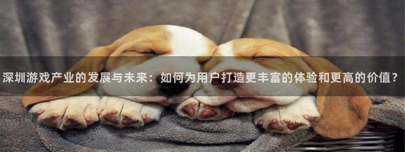 沐鸣2主管：深圳游戏产业的发展与未来：如何为用户打造更丰富的体验和更高的价值？
