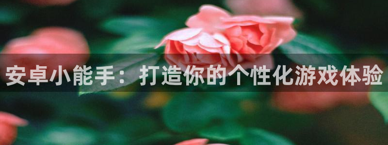 沐鸣2app下载：安卓小能手：打造你的个性化游戏体验