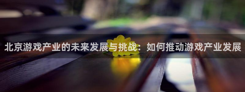 沐鸣2官网：北京游戏产业的未来发展与挑战：如何推动游戏产业发展