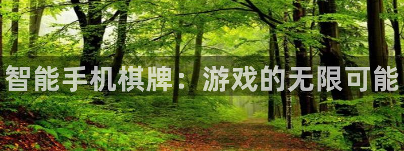 沐鸣2登录测速：智能手机棋牌：游戏的无限可能