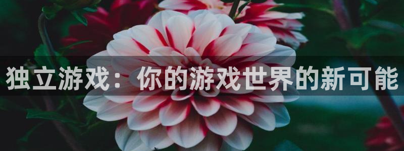 沐鸣2平台注册流程：独立游戏：你的游戏世界的新可能