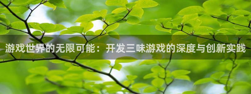 沐鸣2平台测速：游戏世界的无限可能：开发三味游戏的深度与创新实践