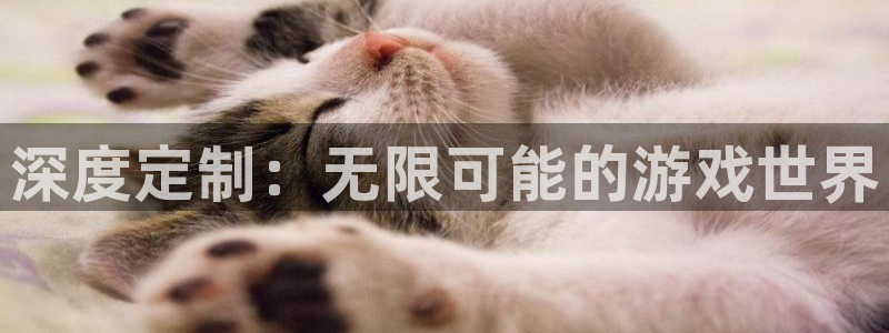 沐鸣2平台登录线路：深度定制：无限可能的游戏世界