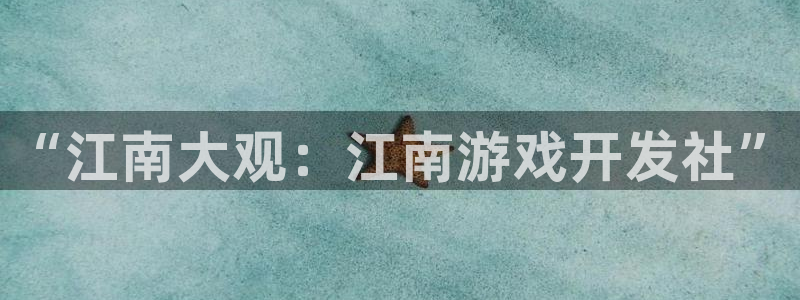 沐鸣娱乐2电脑版：“江南大观：江南游戏开发社”