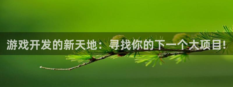 沐鸣2测速登录：游戏开发的新天地：寻找你的下一个大项目!