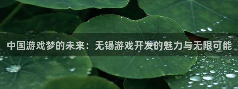 沐鸣2账号注册：中国游戏梦的未来：无锡游戏开发的魅力与无限可能