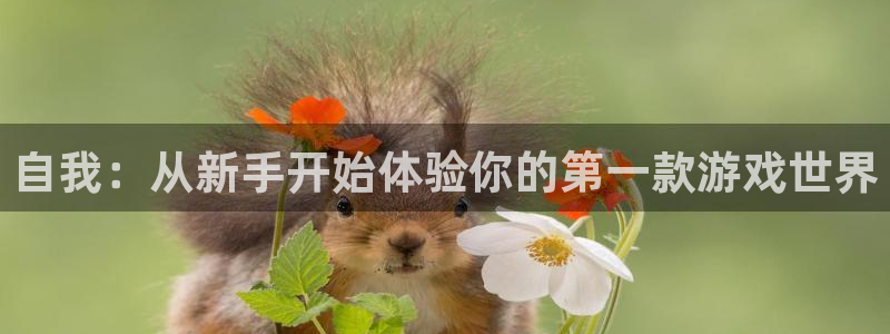 沐鸣2注册网站：自我：从新手开始体验你的第一款游戏世界