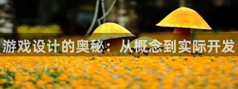 沐鸣娱乐2黑客户吗：游戏设计的奥秘：从概念到实际开发
