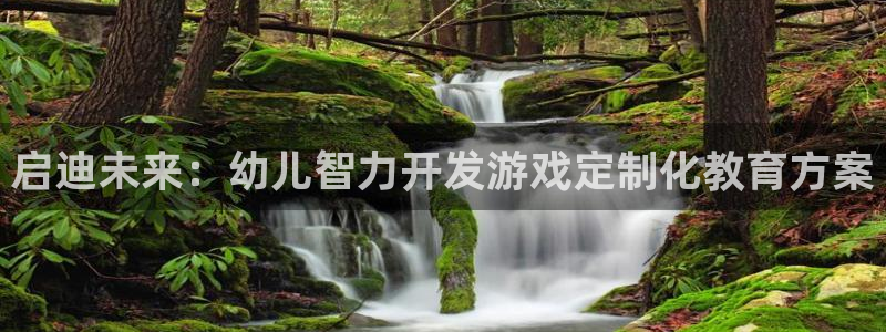 沐鸣2平台主管代理：启迪未来：幼儿智力开发游戏定制化教育方案