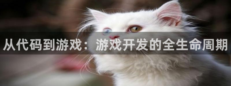 沐鸣娱乐2如何找回密码