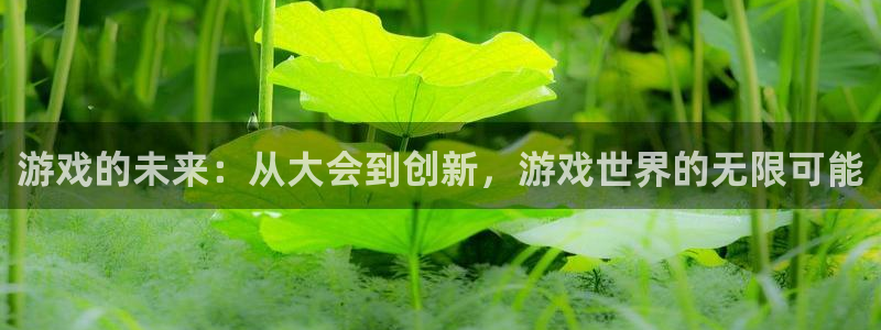 沐鸣娱乐2输钱了