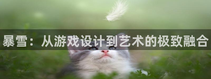 沐鸣2代理官网：暴雪：从游戏设计到艺术的极致融合