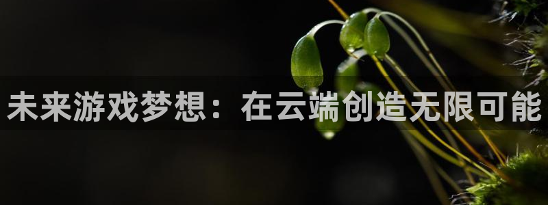 沐鸣2平台主管代理：未来游戏梦想：在云端创造无限可能