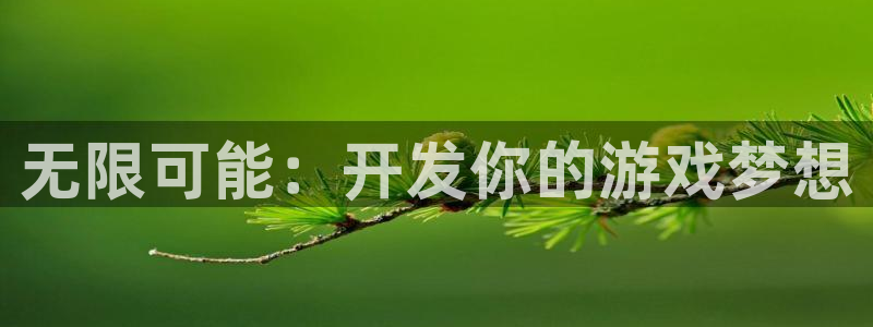 沐鸣娱乐2官网网址是什么：无限可能：开发你的游戏梦想