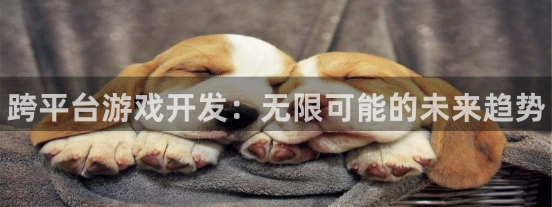 沐鸣娱乐2手机版：跨平台游戏开发：无限可能的未来趋势