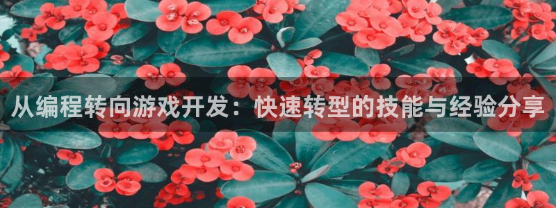 沐鸣娱乐2官方平台投诉：从编程转向游戏开发：快速转型的技能与经验分享