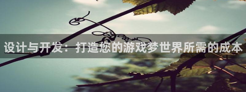 沐鸣2联盟：设计与开发：打造您的游戏梦世界所需的成本