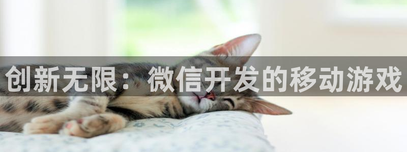 沐鸣2娱乐平台登录客服：创新无限：微信开发的移动游戏